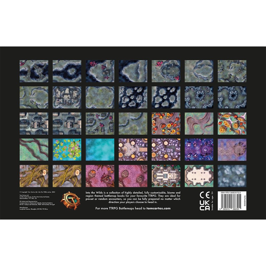 Fey & Fell Battlemap Book