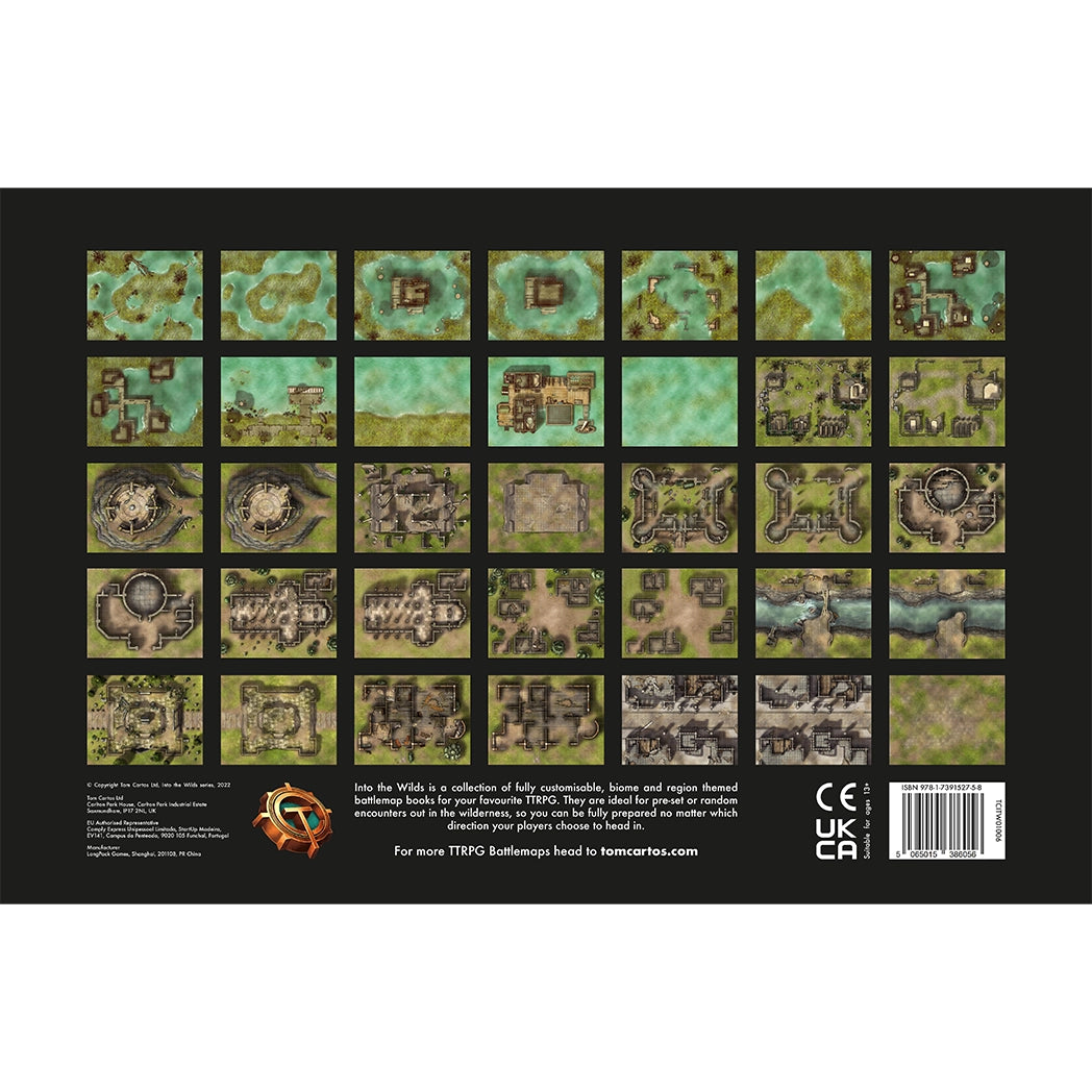 Swamps & Ruins Battlemap Book